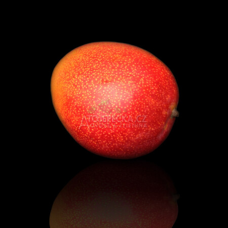 Mango RTE By Air - hlavní obrázek
