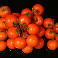 Rajčata keříková 1 kg - obrázek 2