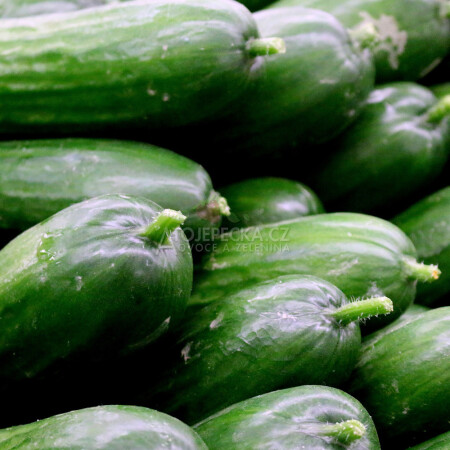 Česká okurka hadovka 1 kg - hlavní obrázek