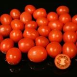 Rajčata soudková 1 kg
