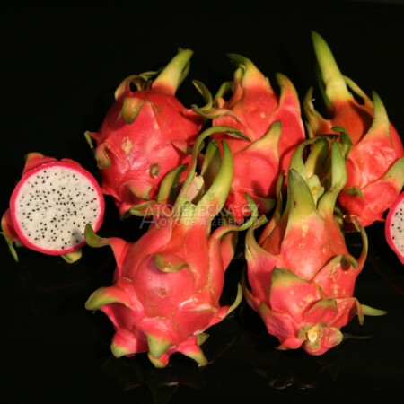 Pitahaya - hlavní obrázek
