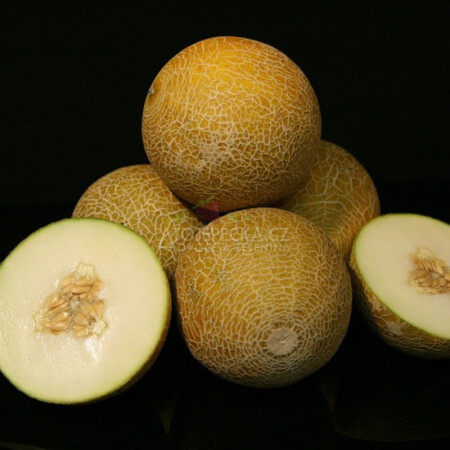 Meloun Galia 1 kg - hlavní obrázek