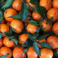 Mandarinka Clementine s lístkem 1 kg - obrázek 2