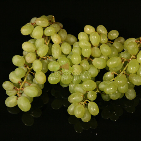 Hroznové víno bezpeckové Thompson Seedless 1 kg - hlavní obrázek