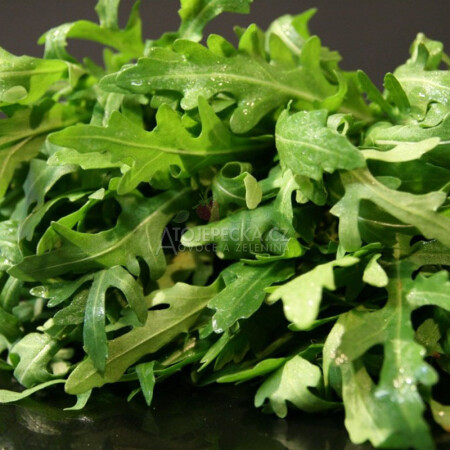 Salát rukola 125 g - hlavní obrázek
