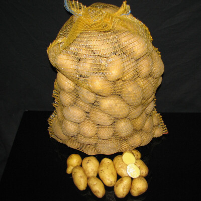 Brambory na uskladnění Bernina/ Belana 25 kg