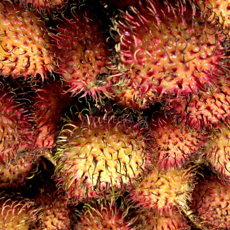 Rambutan 100 g - hlavní obrázek