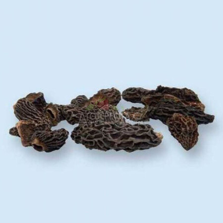 Smrž obecný - Morchella esculenta 500 g - hlavní obrázek