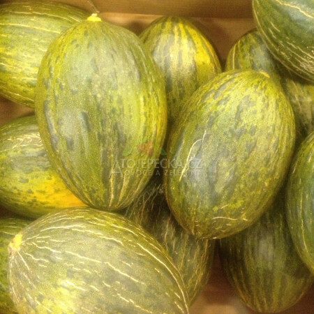 Meloun Piel de Sapo 1 kg - hlavní obrázek
