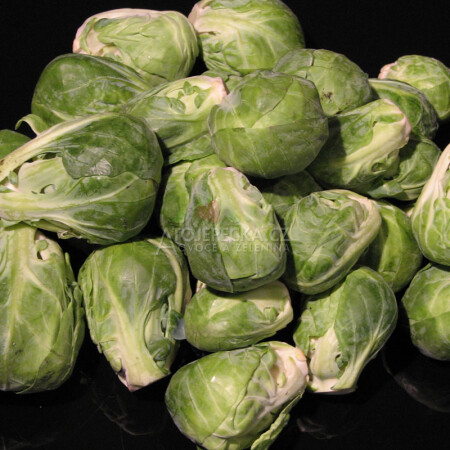 Kapusta kadeřavá 500 g - hlavní obrázek