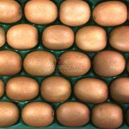 Kiwi kusové - hlavní obrázek