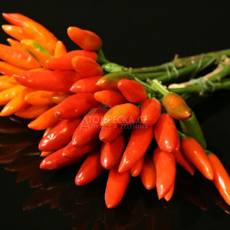 Chilli papričky - hlavní obrázek