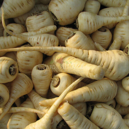 Pastinák setý 500 g - hlavní obrázek