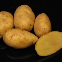 Brambory Princess 1 kg - obrázek 2