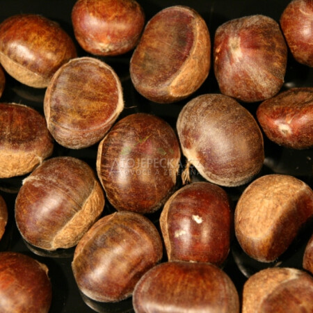 Jedlé kaštany 1 kg - hlavní obrázek