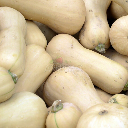 Dýně muškátová 1 kg - hlavní obrázek