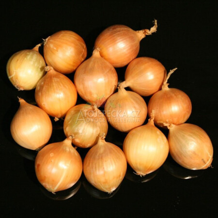 Cibule žlutá 1 kg - hlavní obrázek