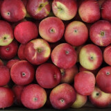Jablko Paula Red 1 kg